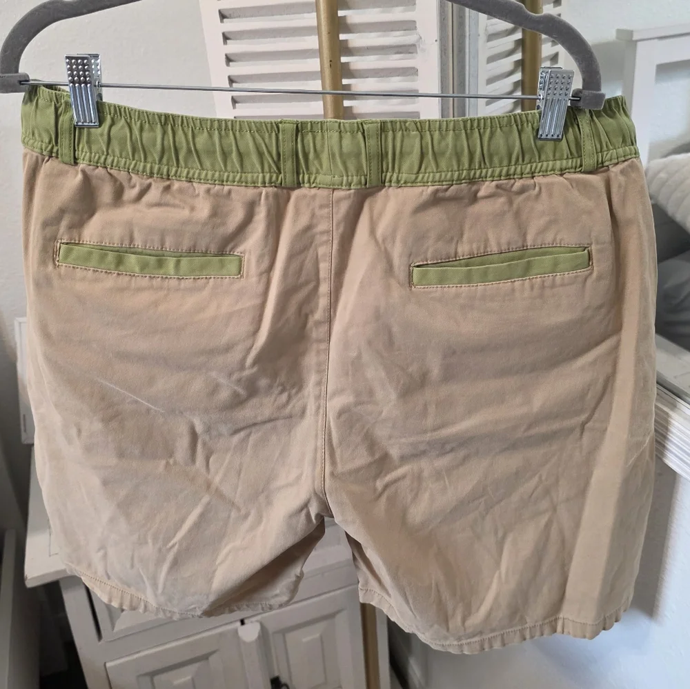 Flag Nor Fail Khaki Shorts - Picture 5 of 10